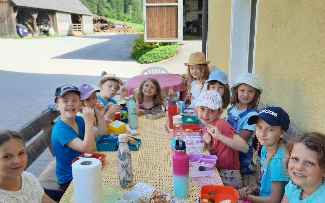 Bauernhofbesuch bei Familie Kohlbacher am 23. Juni 2023